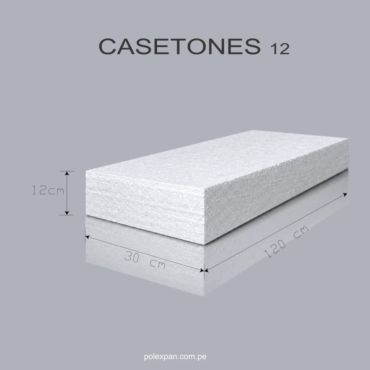 Lámina de medidas del casetón: 120 cm de largo, 30 cm de ancho y 12 cm de espesor. Rotulada «CASETONES 12».