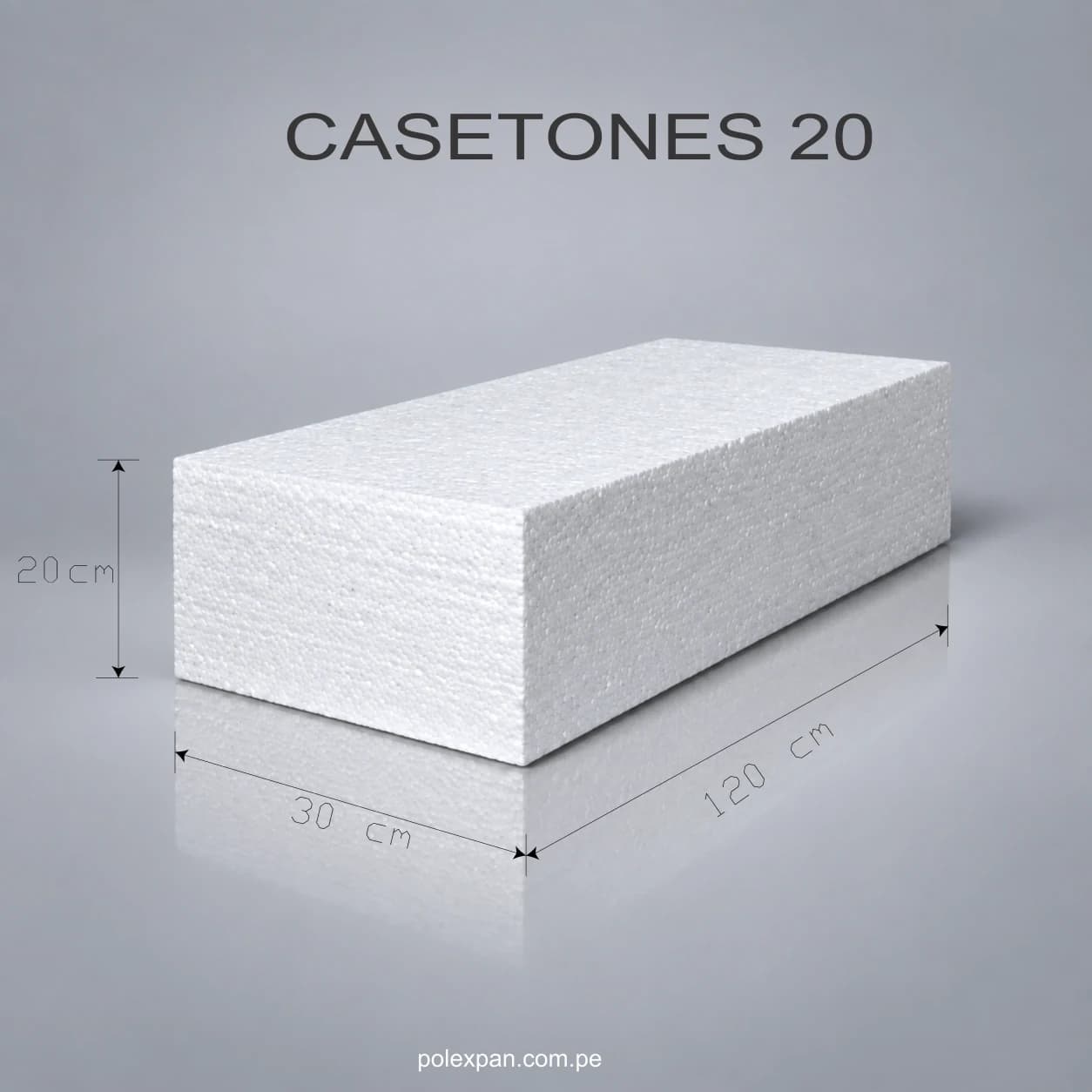 Lámina de medidas del casetón: 120 cm de largo, 30 cm de ancho y 20 cm de espesor. Rotulada «CASETONES 20».