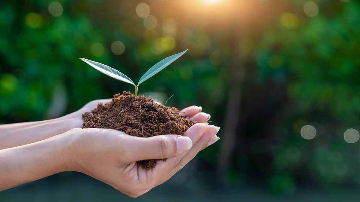 Compromiso de POLEXPAN con el medio ambiente