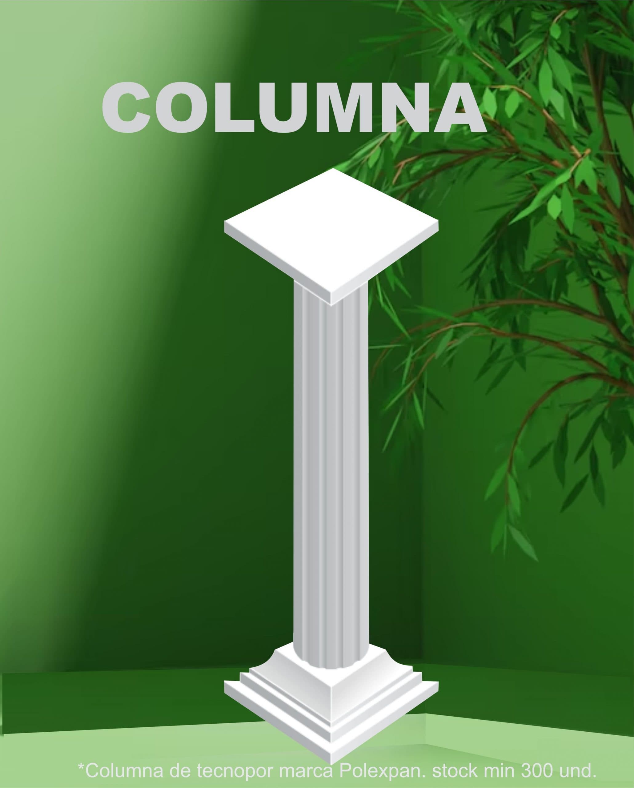 Columnas y molduras de tecnopor