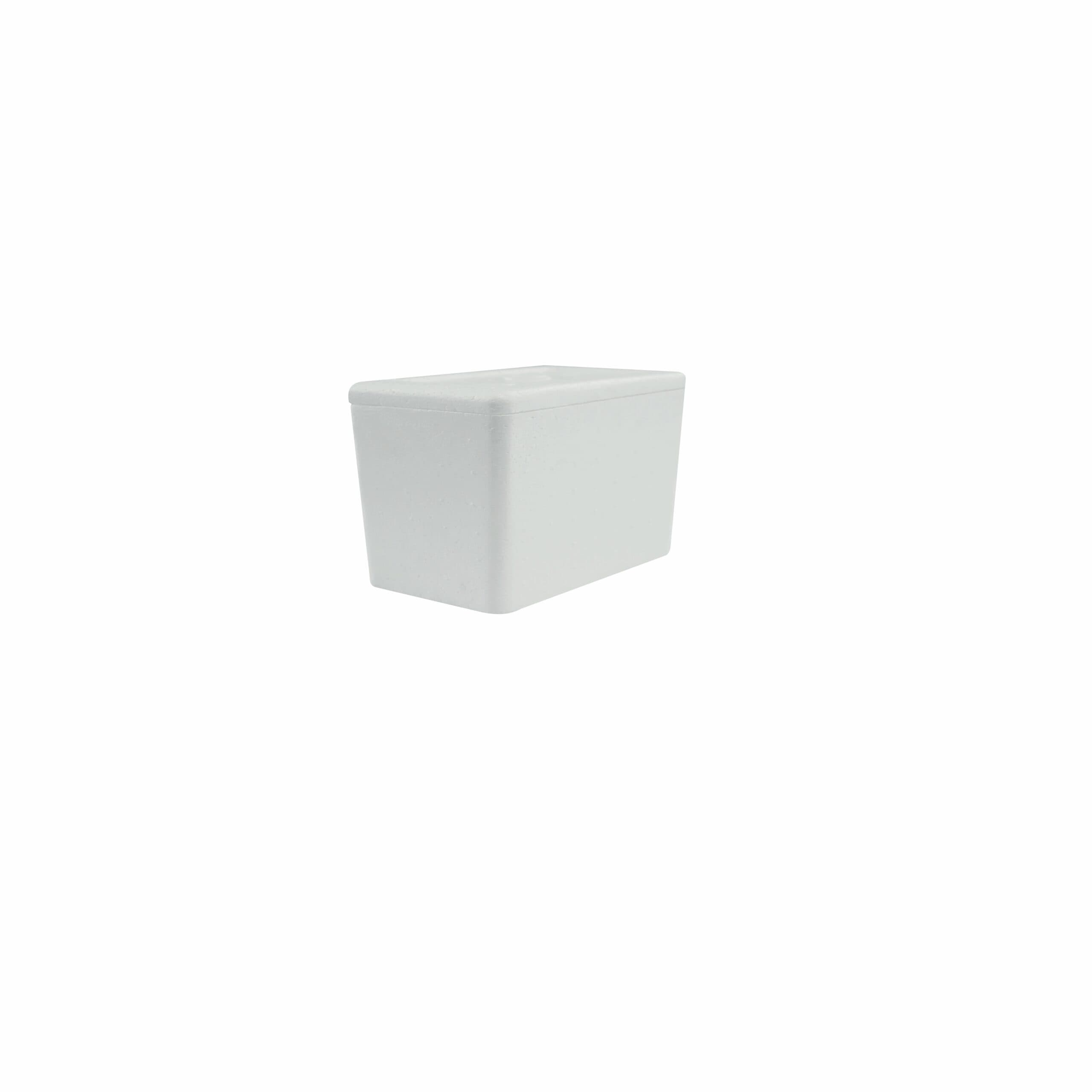 Caja Termica N21