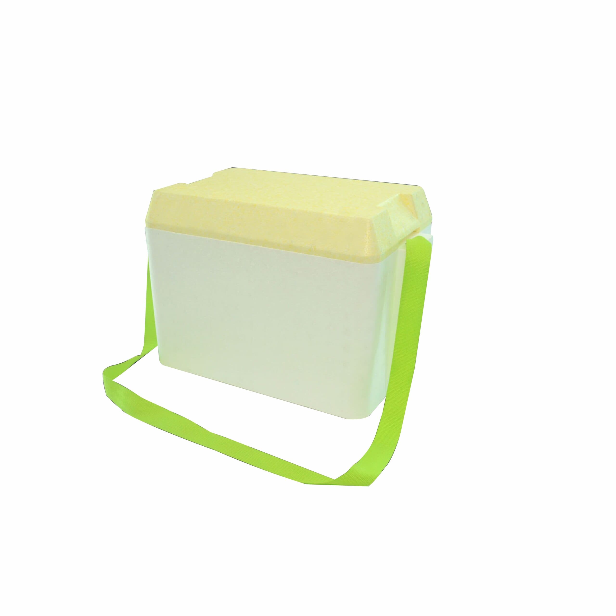 Caja Termica N4
