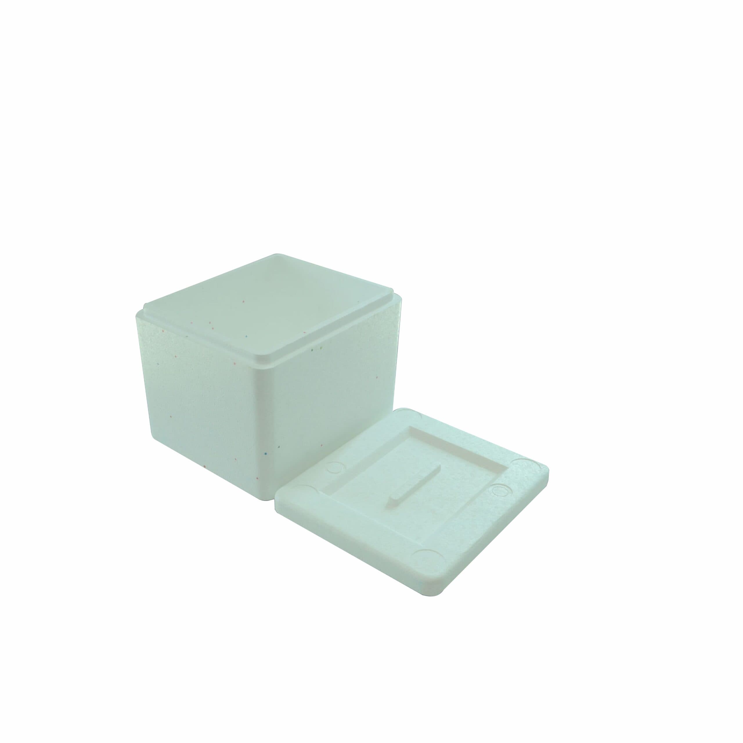Caja Termica N 5